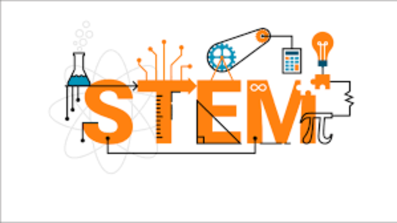 stem