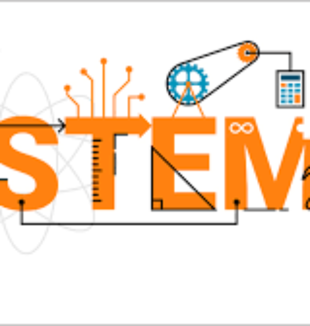 stem